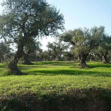 Myrties Stone - Ta Petrina * Vasilikí