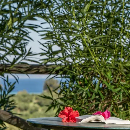 Lantgård Myrties Stone - Ta Petrina Vasilikí