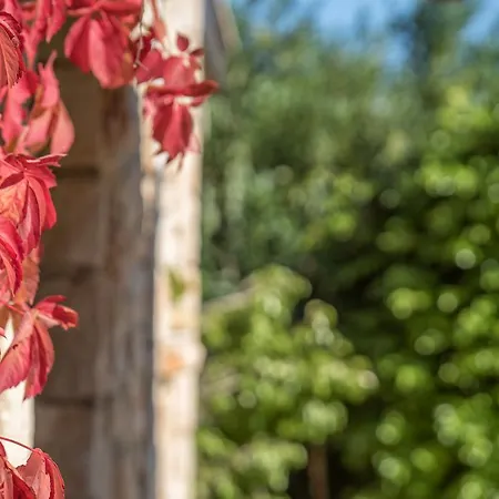 Myrties Stone - Ta Petrina Lantgård