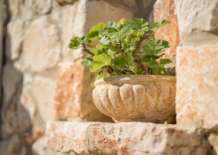 Bauernhof Myrties Stone - Ta Petrina *