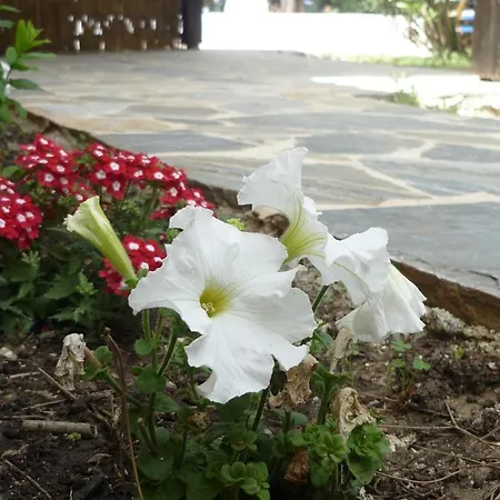 Farm stay Myrties Stone - Ta Petrina