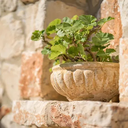 Farm stay Myrties Stone - Ta Petrina *